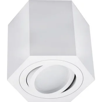 Bodové svítidlo Bodové svítidlo ARENO 1xGU10/30W/230V bílá