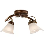 Bodové svítidlo IVY 2xE14/40W/230V