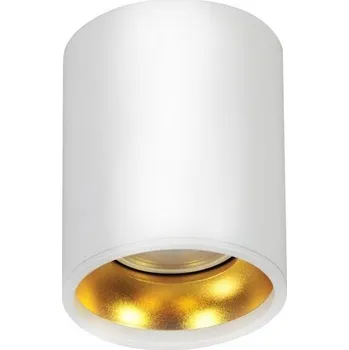 Bodové svítidlo Stropní svítidlo 1xGU10/8W/230V bílé