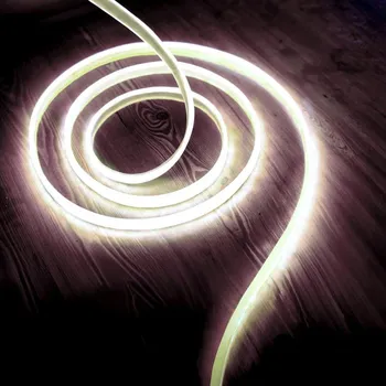 LED páska LED Pásek LED/50W/12V 5 m 6500K