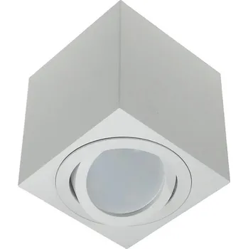 Bodové svítidlo Bodové svítidlo FEBE 1xGU10/30W/230V bílá