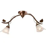 Bodové svítidlo IVY 2xE14/40W/230V