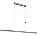 Paul Neuhaus 2568-24 - LED Stmívatelný lustr na lanku ADRIANA LED/14W/230V