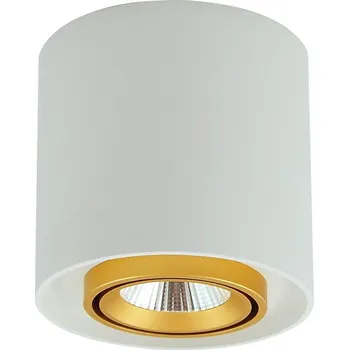 Bodové svítidlo LED Bodové svítidlo XENO LED/15W/230V bílá 1200lm