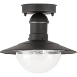 Rabalux 8716 - Venkovní stropní svítidlo OSLO 1xE27/60W IP44
