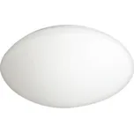 LED Venkovní stropní svítidlo PETRA LED/12W/230V IP44