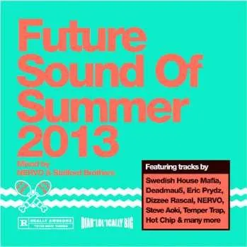 Hudba 2CD Various: Future Sound Of Summer 2013 2012