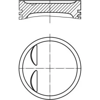 Píst motoru Píst MAHLE 011 95 01