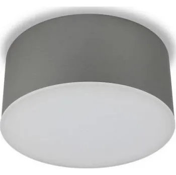 LED2 - LED Stropní svítidlo BUTTON LED/17W/230V stříbrná