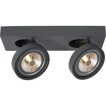 Bodové svítidlo Lucide 09920/20/36 - LED Stmívatelné bodové svítidlo NENAD AR111 2xG53/10W/230V