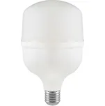 LED Žárovka T100 E27/30W/230V 6500K