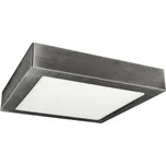LED Stropní svítidlo FENIX LED/18W/230V 3800K 22,5 cm