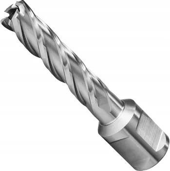 Vrták FI 19 x 50 mm Vrtací fréza HSSE RAIL