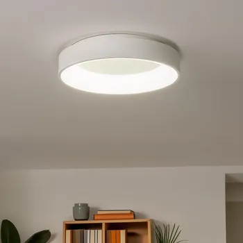 Brilagi - LED Stmívatelné stropní svítidlo FALCON LED/80W/230V 3000-6500K + DO