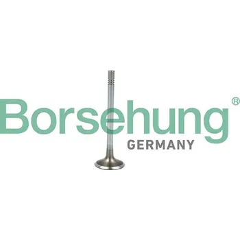 Ventil motoru Sací ventil BORSEHUNG B19021