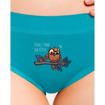 Souprava dámského spodního prádla Bastard Jsem na větvi dámské kalhotky Turquoise