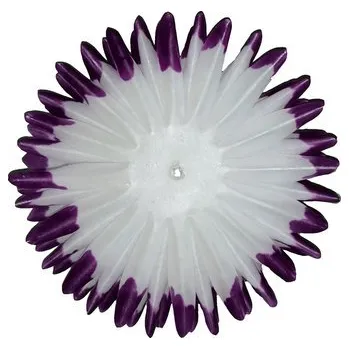 Jiřina jehlicovitá - voskované volné plátky - fialovobílé (600 ks)