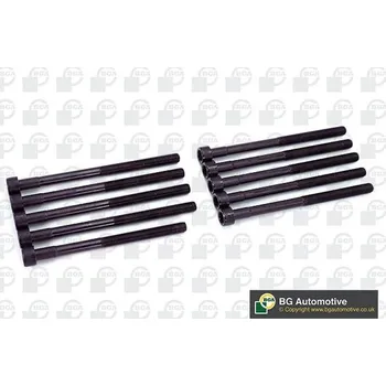 Spojovací materiál motoru Sada šroubů hlavy válce BGA BK2376