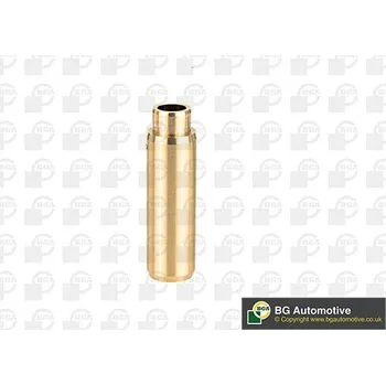 Ventil motoru Vodítko ventilů BGA VG3145