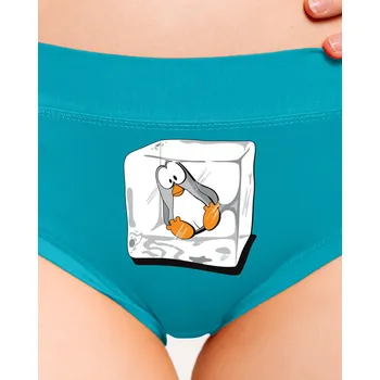 Souprava dámského spodního prádla Bastard Tučňák dámské kalhotky Turquoise