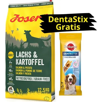 Krmivo pro psa JOSERA Lachs & Kartoffel -Grain Free 12,5kg + DentaStix GRATIS!