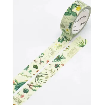 Lepicí páska Cognitive Surplus washi páska, kaktus