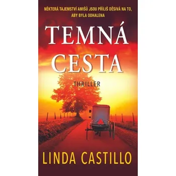Kniha Temná cesta [E-kniha] - Linda Castillo