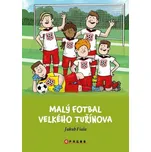 Malý fotbal Velkého Tuřínova [E-kniha] - Jakub Fiala