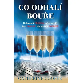 Kniha Co odhalí bouře [E-kniha] - Catherine Cooper