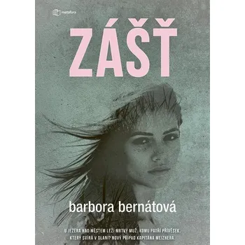 Kniha Zášť [E-kniha] - Barbora Bernátová