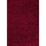 Kusový koberec Dream Shaggy 4000 Red, 60x110, červená, ložnice, Ayyildiz - 1 rok na vrácení + DOPRAVA ZDARMA k Vám i zpět