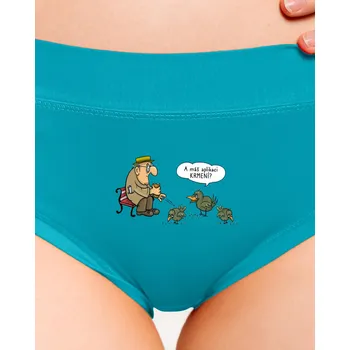 Souprava dámského spodního prádla Bastard Aplikace Krmení dámské kalhotky Turquoise