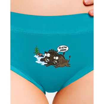 Souprava dámského spodního prádla Bastard Já už ho vidím dámské kalhotky Turquoise