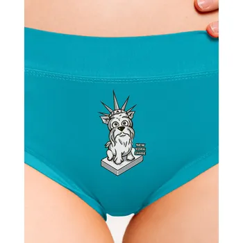 Souprava dámského spodního prádla Bastard New Yorkshire dámské kalhotky Turquoise