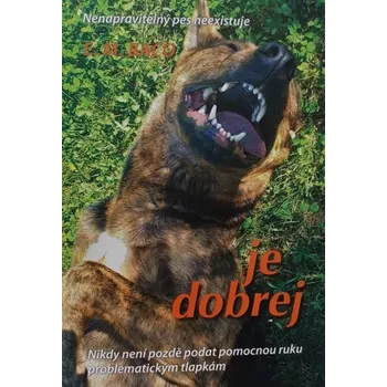 Kniha Je dobrej [E-kniha] - Emilia Miluše Baco