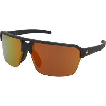 Sluneční brýle Sluneční brýle Alpina Swift HR Black Gold Matt/Gold Mirror