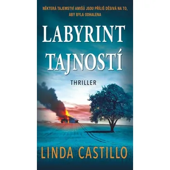 Kniha Labyrint tajností [E-kniha] - Linda Castillo