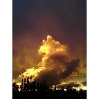 Kniha Osudná cesta [E-kniha] - Richard Ziegler