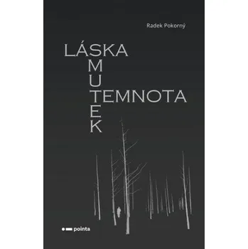 Kniha Láska, smutek, temnota - Radek Pokorný