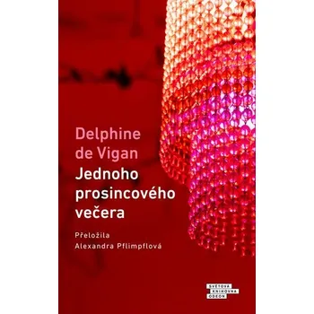 Kniha Jednoho prosincového večera [E-kniha] - Delphine Vigan de