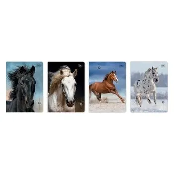 Set školních potřeb Zeszyt A5/16K 3kol linia UV Wild Horses (20szt)