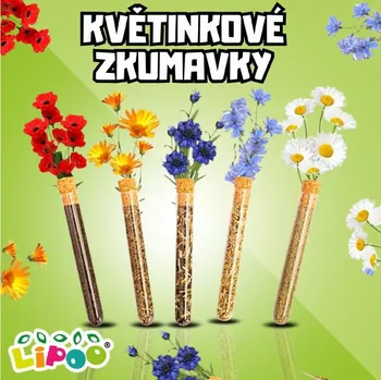 Květinkové zkumavky 5 kusů, semínka lučního kvítí