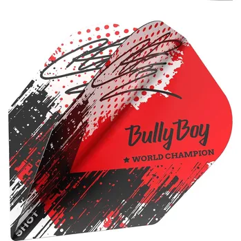 Příslušenství pro šipky Letky Michael Smith Game Day No.6 (SF7562)