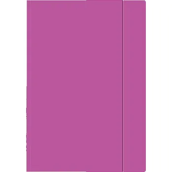 Archivační box Interdruk Sloha s gumou A4 Fluo - fialová