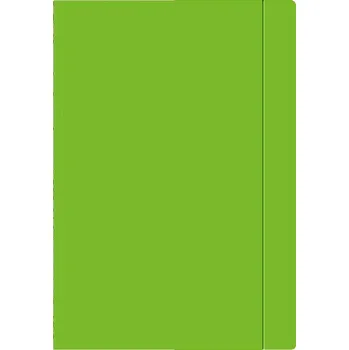 Archivační box Interdruk Sloha s gumou A4 Fluo - sv.zelená