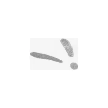 Prostěradlo Piapimo PIAPIMO - prostěradlo na ramena 80x40cm bílé s výšivkou kolekce SleepSweet