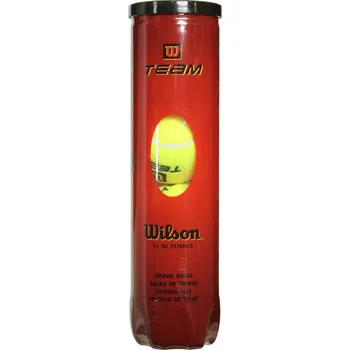 Tenis Tenisové míče Wilson Team Practice 4B