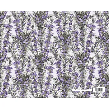 Balící papír Dárkový balicí papír FLORENTIA 70x100 cm - rozmarýn