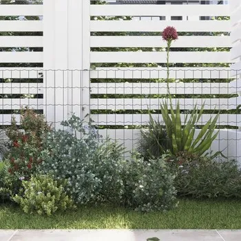 Pletivo Svařované pletivo Kaiserthal 80cm x 10m zelené