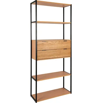 Knihovna Intesi Regálová jednotka Minato z jasanové dýhy